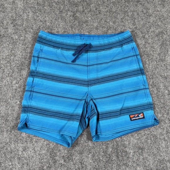 Patagonia ROBB Mens Swim Trunks Blue Striped Drawstring Swim Shorts Size S - Picture 1 of 11